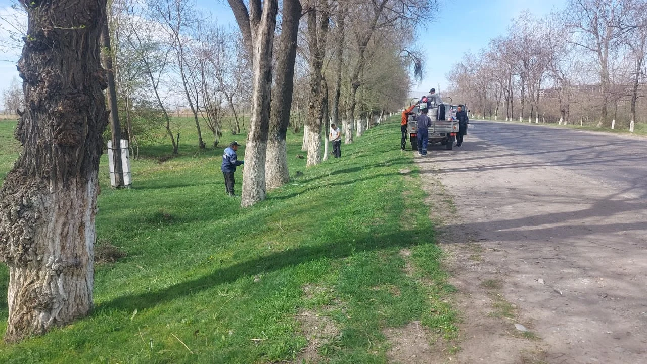 657050599 929610663013290 2841932791373611419 n