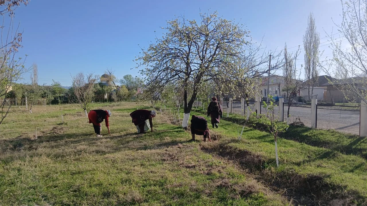 657824204 929610499679973 8888568386391250221 n