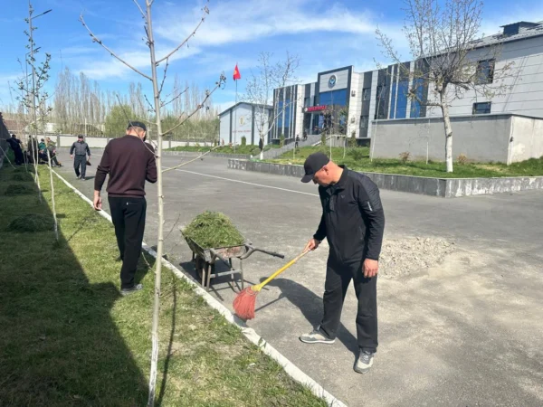 658294366 929610436346646 5409154090393420795 n