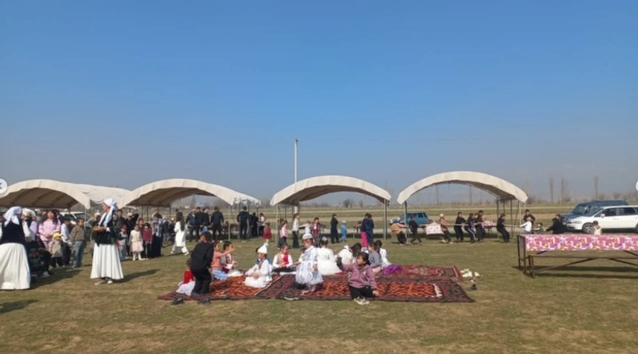 Снимок экрана 2026 04 13